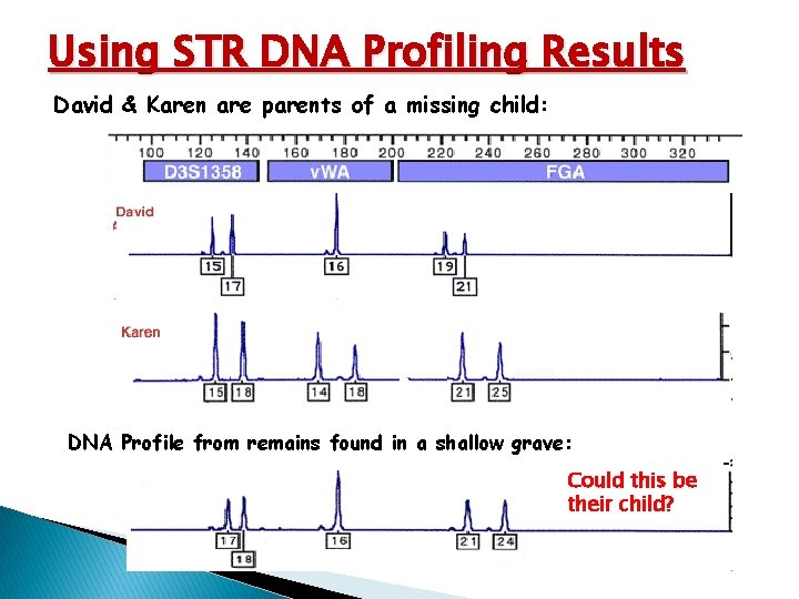 Using STR DNA Profiling Results David & Karen are parents of a missing child: