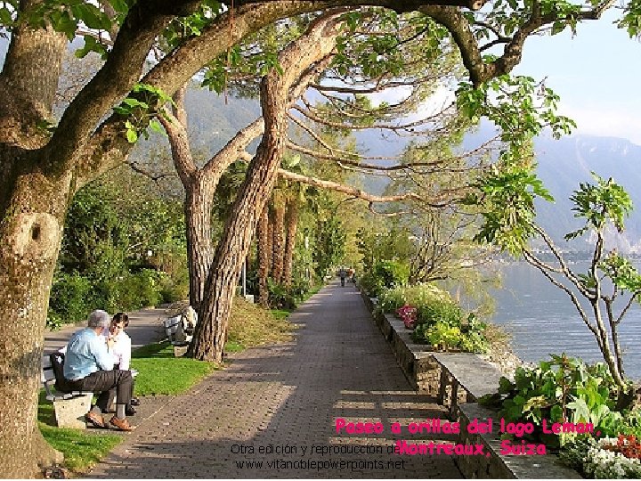 Paseo a orillas del lago Leman, Otra edición y reproducción de. . . Montreaux,