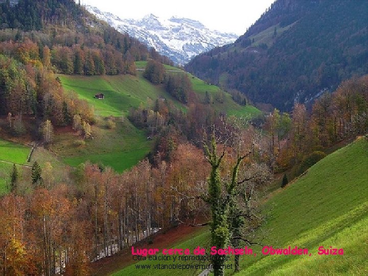 Lugar cerca de Sachseln, Obwalden, Suiza Otra edición y reproducción de. . . www.