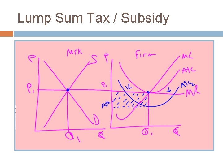 Lump Sum Tax / Subsidy 