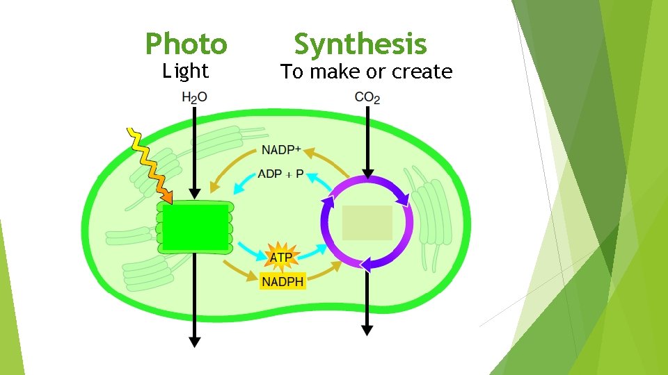 Photo Light Synthesis To make or create 