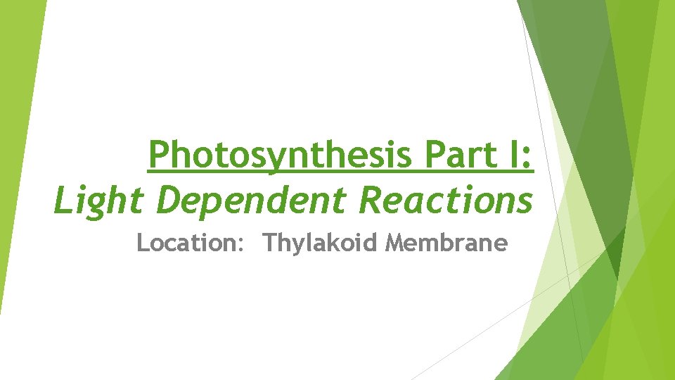 Photosynthesis Part I: Light Dependent Reactions Location: Thylakoid Membrane 