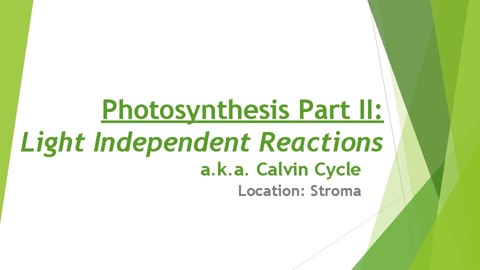 Photosynthesis Part II: Light Independent Reactions a. k. a. Calvin Cycle Location: Stroma 