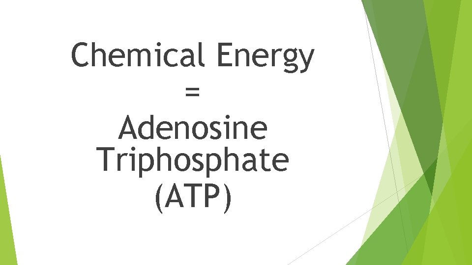 Chemical Energy = Adenosine Triphosphate (ATP) 