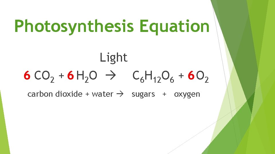 Photosynthesis Equation Light 6 CO 2 + 6 H 2 O C 6 H