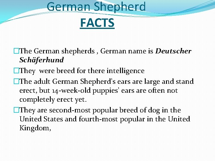 German Shepherd FACTS �The German shepherds , German name is Deutscher Schäferhund �They were