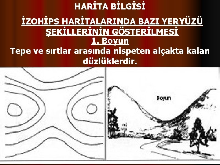 HARİTA BİLGİSİ İZOHİPS HARİTALARINDA BAZI YERYÜZÜ ŞEKİLLERİNİN GÖSTERİLMESİ 1. Boyun Tepe ve sırtlar arasında