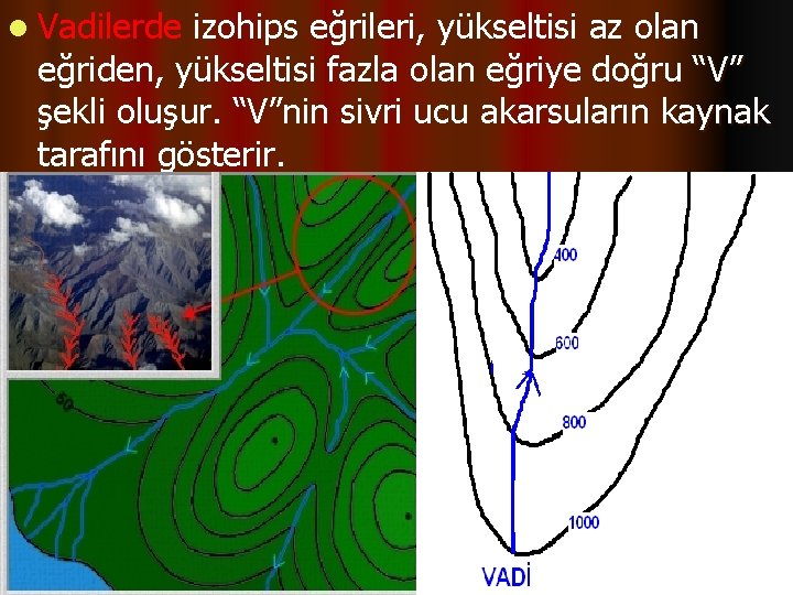 l Vadilerde izohips eğrileri, yükseltisi az olan eğriden, yükseltisi fazla olan eğriye doğru “V”