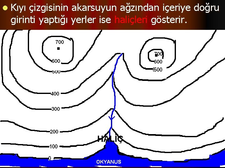 l Kıyı çizgisinin akarsuyun ağzından içeriye doğru girinti yaptığı yerler ise haliçleri gösterir. 