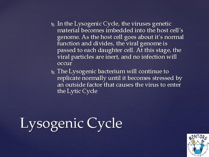  In the Lysogenic Cycle, the viruses genetic material becomes imbedded into the host