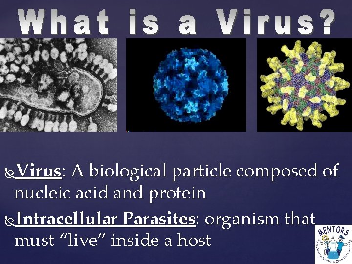 Virus: A biological particle composed of nucleic acid and protein Intracellular Parasites: organism that