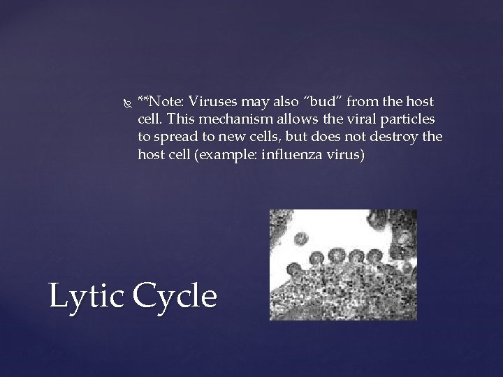  **Note: Viruses may also “bud” from the host cell. This mechanism allows the