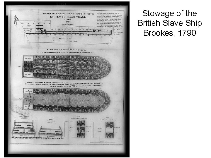 Stowage of the British Slave Ship Brookes, 1790 