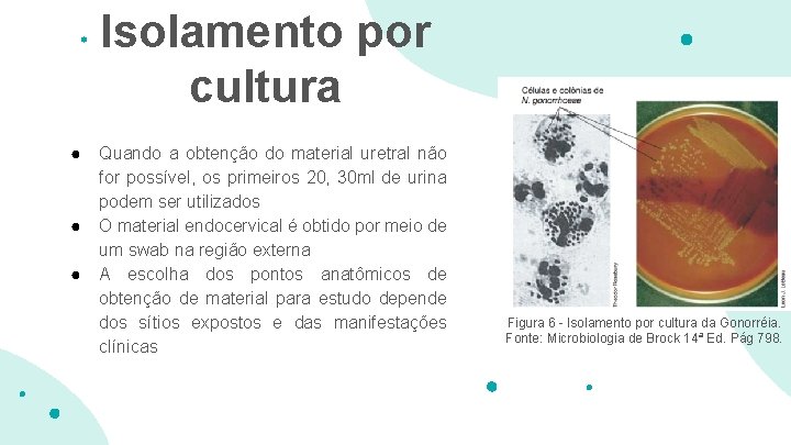 Isolamento por cultura ● ● ● Quando a obtenção do material uretral não for