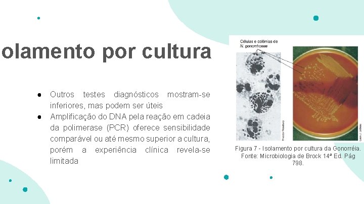 solamento por cultura ● ● Outros testes diagnósticos mostram-se inferiores, mas podem ser úteis