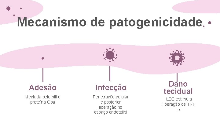 Mecanismo de patogenicidade Adesão Infecção Mediada pelo pili e proteína Opa Penetração celular e