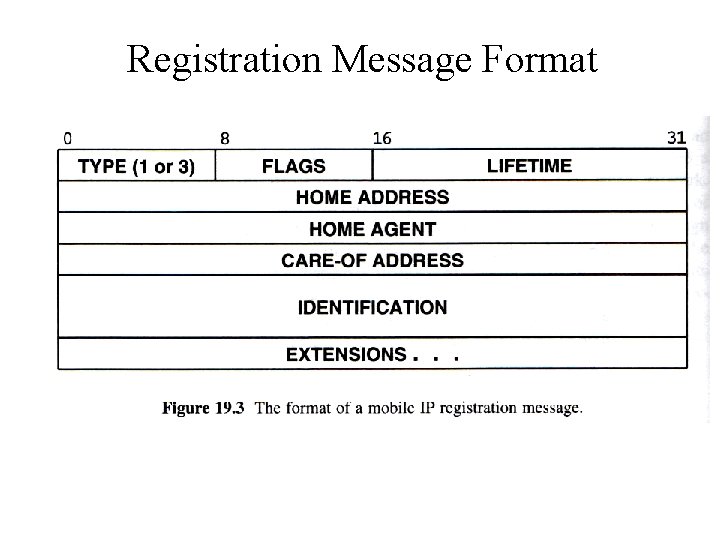 Registration Message Format 