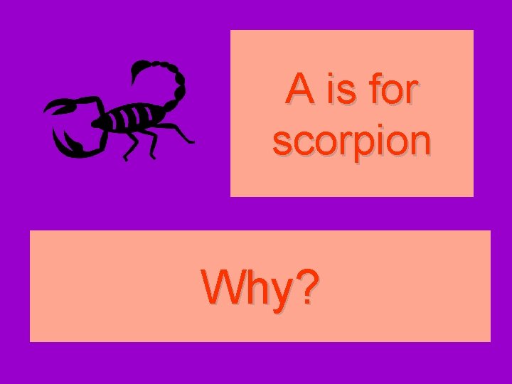 A is for scorpion Why? 