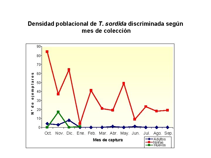 Densidad poblacional de T. sordida discriminada según mes de colección 90 80 Nº de