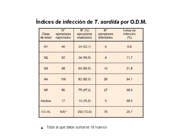 Índices de infección de T. sordida por O. D. M. * Total al que