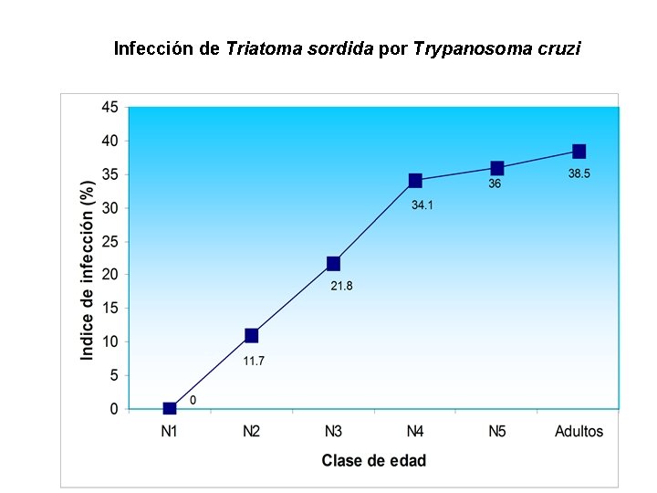 Infección de Triatoma sordida por Trypanosoma cruzi 