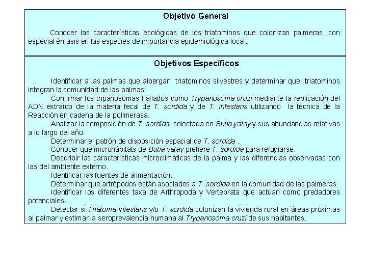 Objetivo General Conocer las características ecológicas de los triatominos que colonizan palmeras, con especial