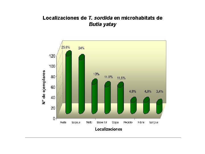 Localizaciones de T. sordida en microhabitats de Butia yatay 