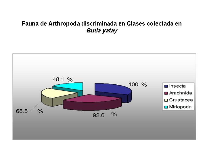 Fauna de Arthropoda discriminada en Clases colectada en Butia yatay 