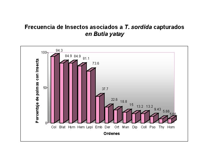 Frecuencia de Insectos asociados a T. sordida capturados en Butia yatay Porcentaje de palmas