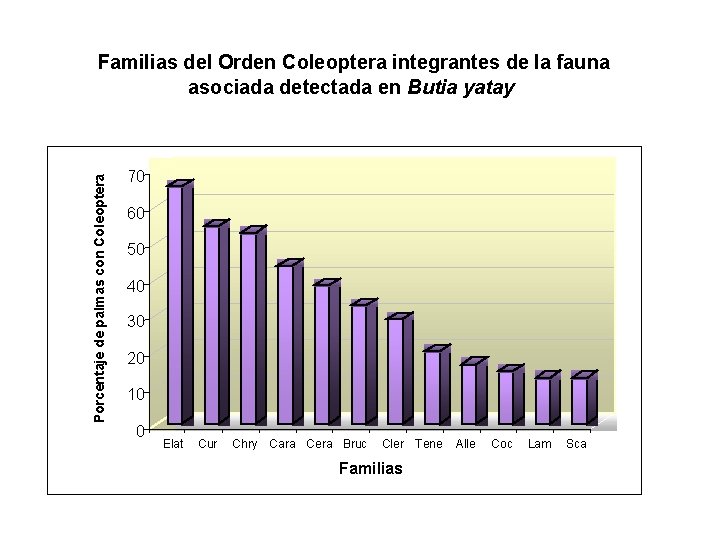 Porcentaje de palmas con Coleoptera Familias del Orden Coleoptera integrantes de la fauna asociada