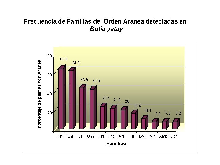 Frecuencia de Familias del Orden Aranea detectadas en Butia yatay Porcentaje de palmas con