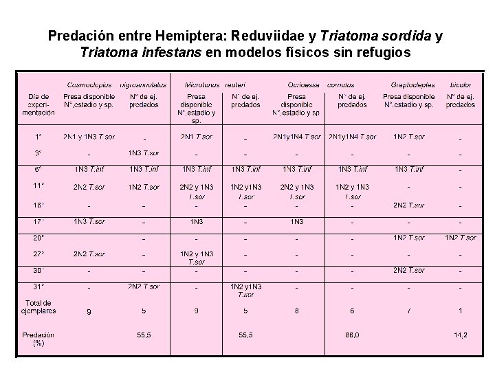 Predación entre Hemiptera: Reduviidae y Triatoma sordida y Triatoma infestans en modelos físicos sin