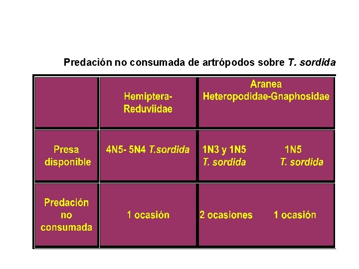 Predación no consumada de artrópodos sobre T. sordida 