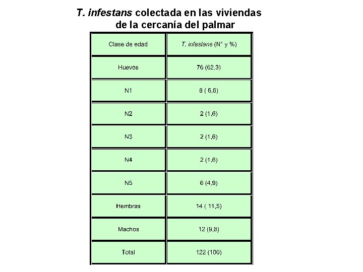 T. infestans colectada en las viviendas de la cercanía del palmar 