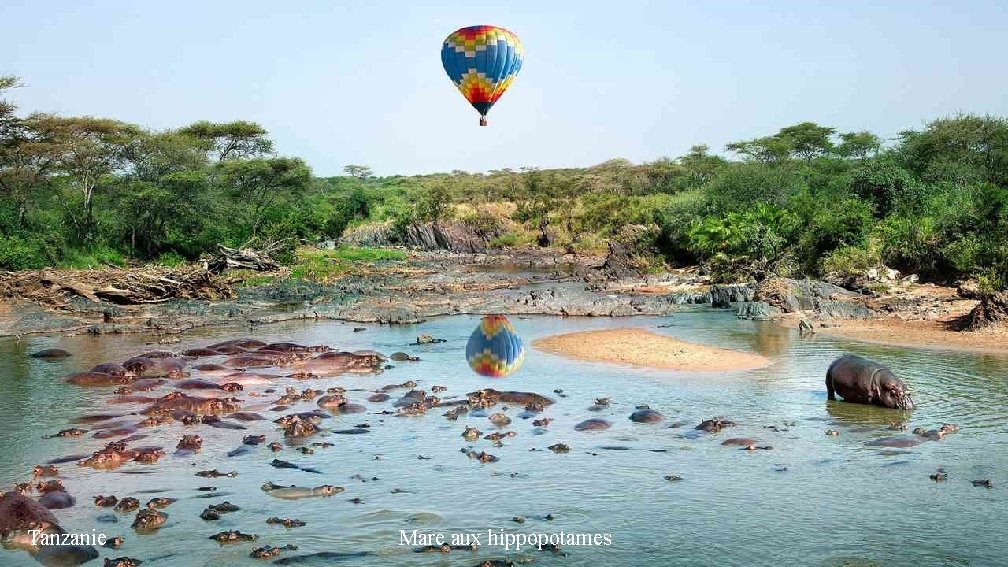 Tanzanie Mare aux hippopotames 