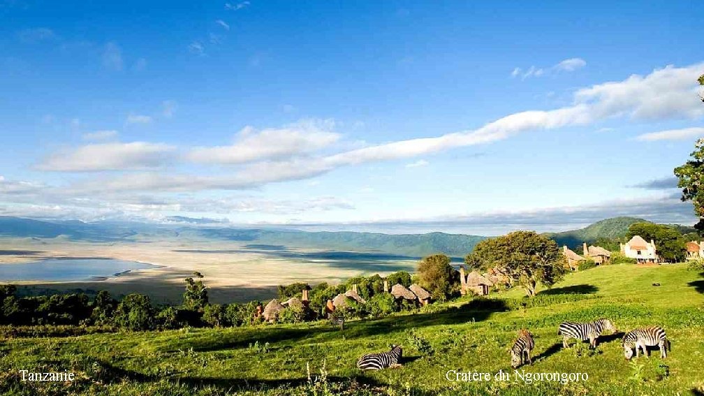 Tanzanie Cratère du Ngorongoro 