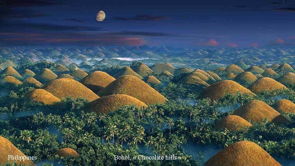 Philippines Bohol, « Chocolate hills » 