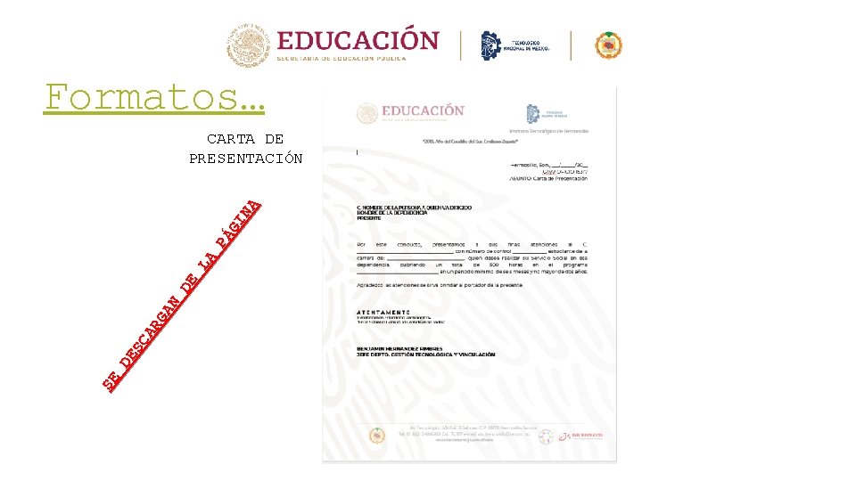 Formatos… SE DE SC AR GA N DE LA PÁ GI NA CARTA DE