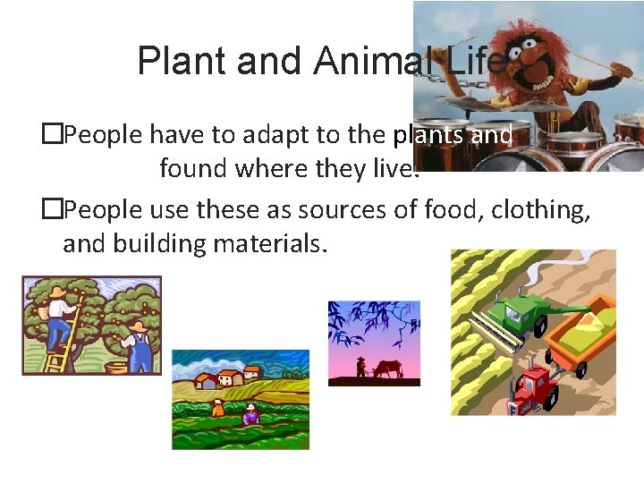 Plant and Animal Life �People have to adapt to the plants and animals found