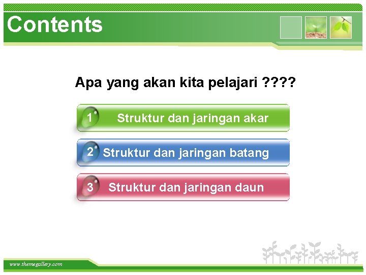 Contents Apa yang akan kita pelajari ? ? 1 Struktur dan jaringan akar 2