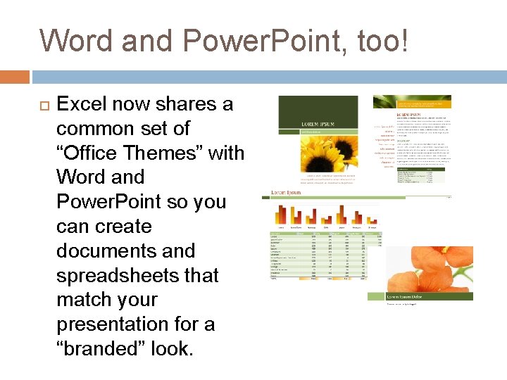 Word and Power. Point, too! Excel now shares a common set of “Office Themes”