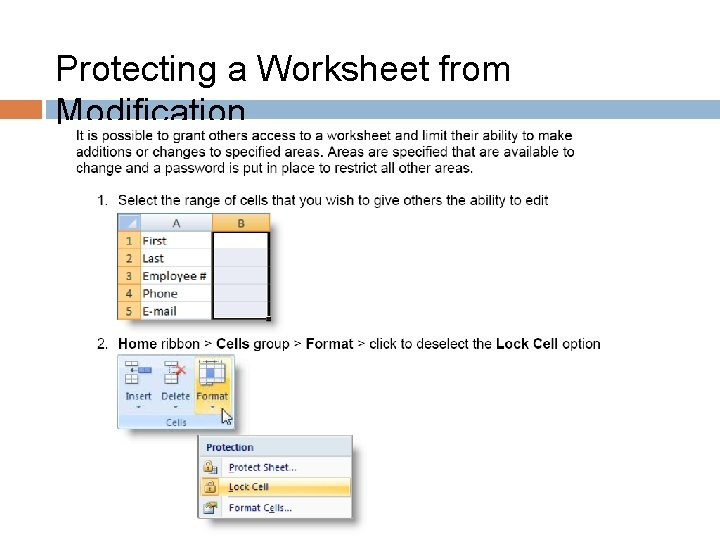 Protecting a Worksheet from Modification 