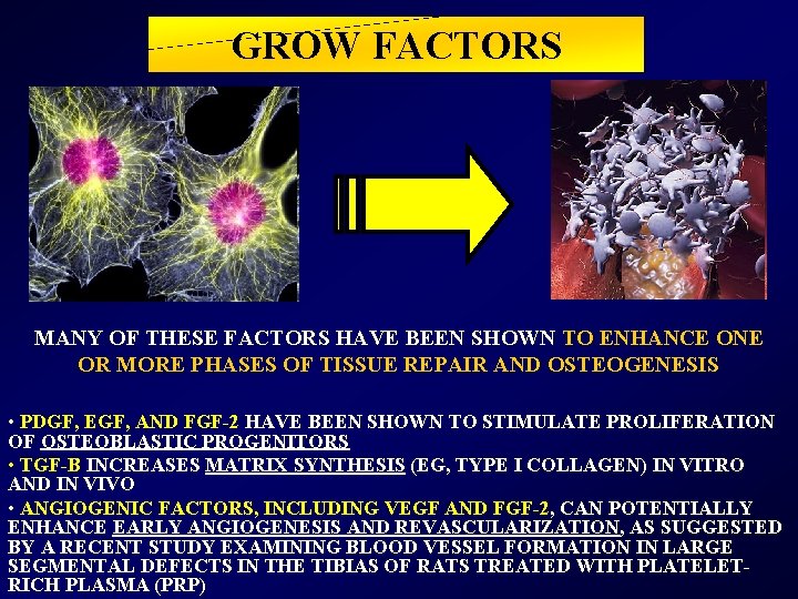 GROW FACTORS MANY OF THESE FACTORS HAVE BEEN SHOWN TO ENHANCE ONE OR MORE