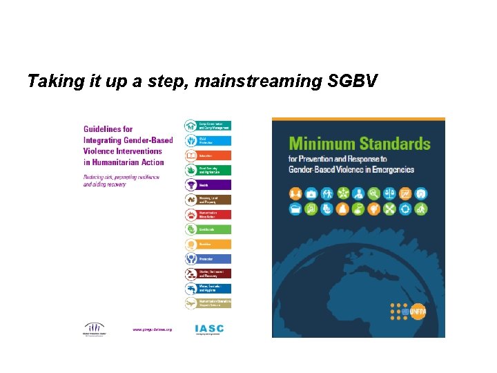 Taking it up a step, mainstreaming SGBV 