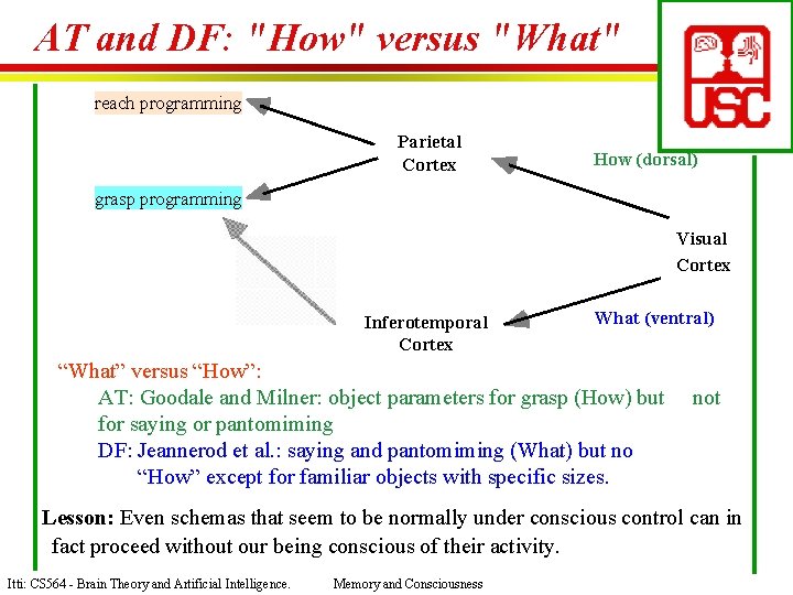 AT and DF: "How" versus "What" reach programming Parietal Cortex How (dorsal) grasp programming