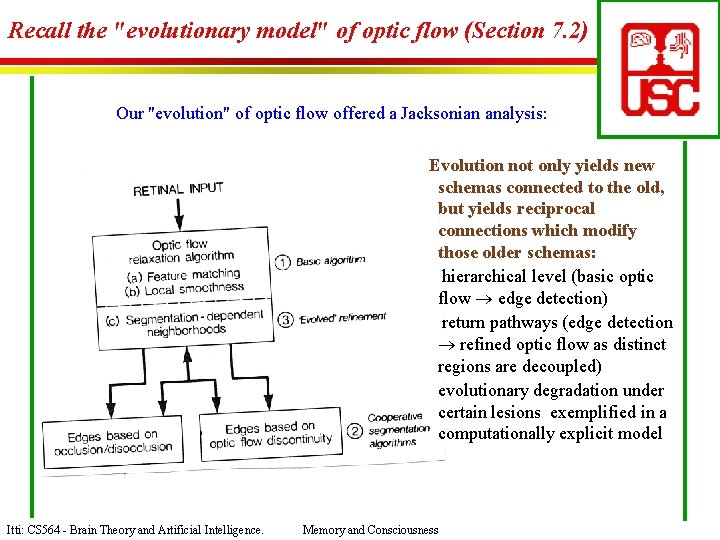 Recall the "evolutionary model" of optic flow (Section 7. 2) Our "evolution" of optic