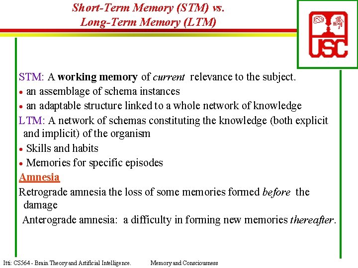 Short-Term Memory (STM) vs. Long-Term Memory (LTM) STM: A working memory of current relevance