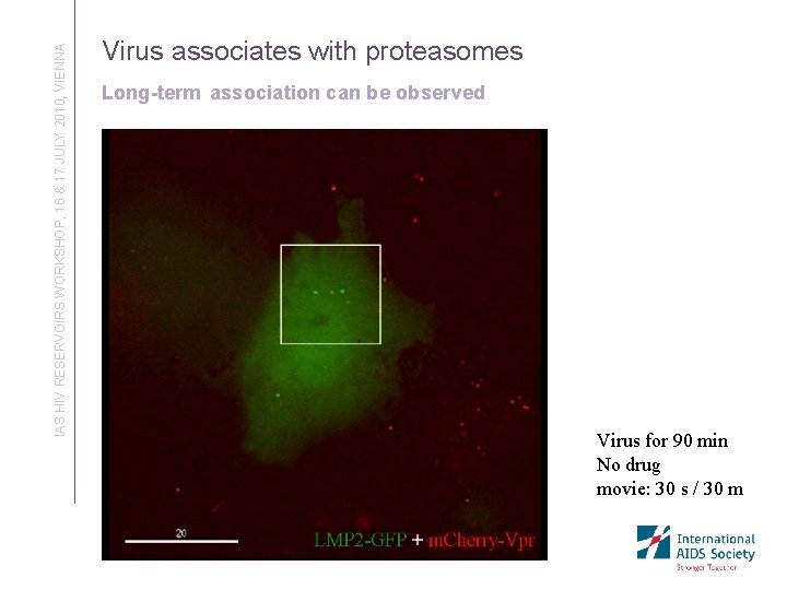 IAS HIV RESERVOIRS WORKSHOP, 16 & 17 JULY 2010, VIENNA Virus associates with proteasomes