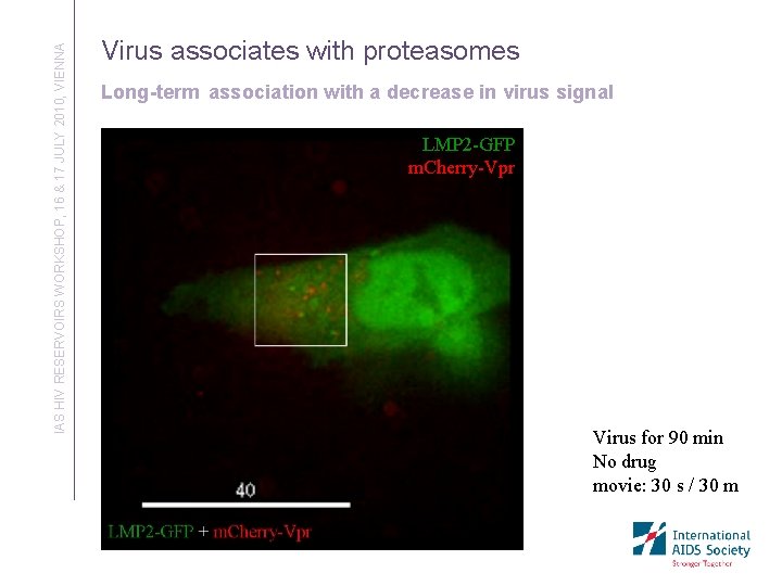 IAS HIV RESERVOIRS WORKSHOP, 16 & 17 JULY 2010, VIENNA Virus associates with proteasomes