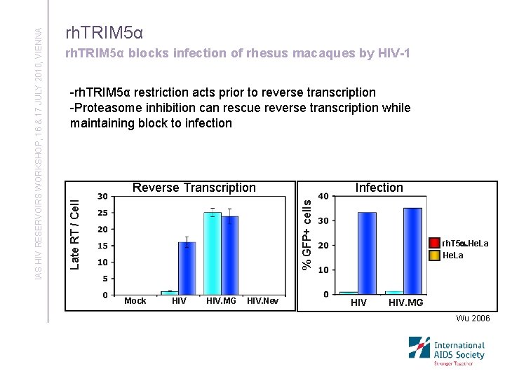 rh. TRIM 5α blocks infection of rhesus macaques by HIV-1 -rh. TRIM 5α restriction
